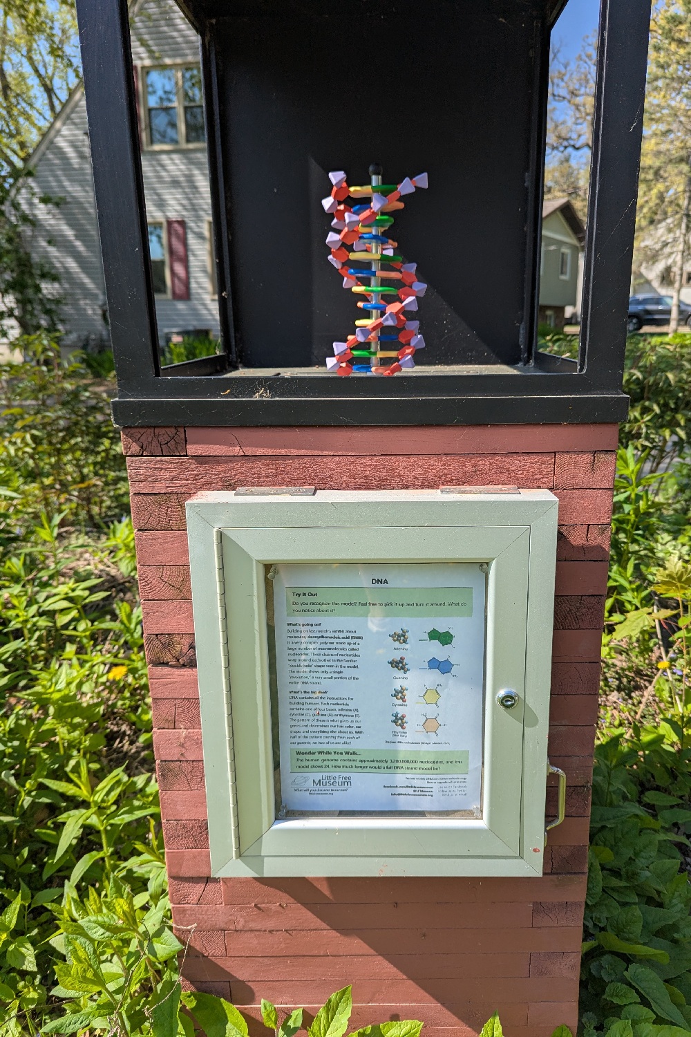 Exhibit picture